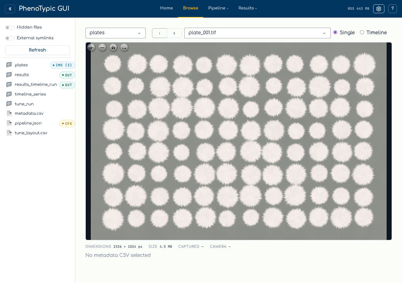 The Browse tab with a source root set: dataset + image dropdowns populated and the first plate deep-zoomed in the OpenSeadragon viewport with the metadata panel below.