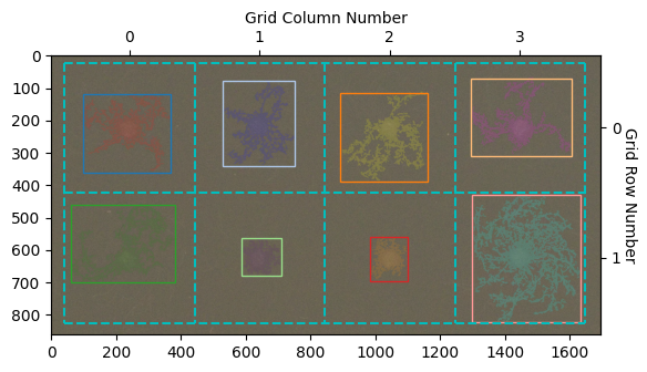 ../../_images/tutorials_notebooks_10_detecting_filamentous_fungi_15_1.png