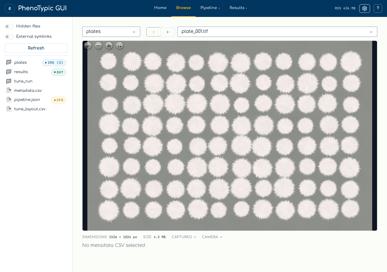 The Browse tab with a source root set: dataset + image dropdowns populated and the first plate deep-zoomed in the OpenSeadragon viewport with the metadata panel below.