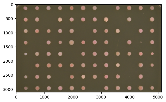 ../../_images/how_to_notebooks_crop_and_pad_4_2.png