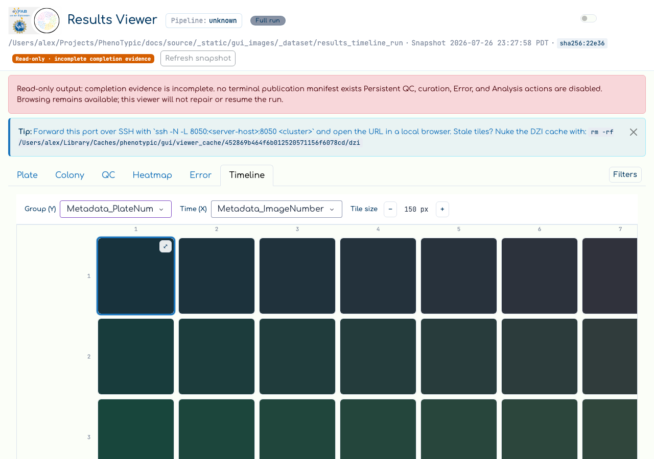 The Results Viewer Timeline tab: the Y (group) and X (time) dropdowns, the focus window with one focused overlay cell, the four edge navigation buttons, the position readout, and the tile-size stepper.