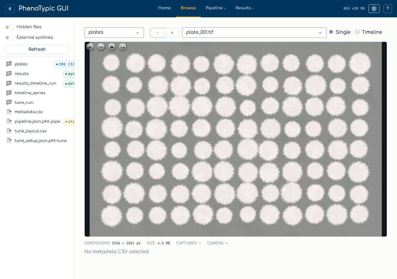 The Browse tab with a source root set: dataset + image dropdowns populated and the first plate deep-zoomed in the OpenSeadragon viewport with the metadata panel below.
