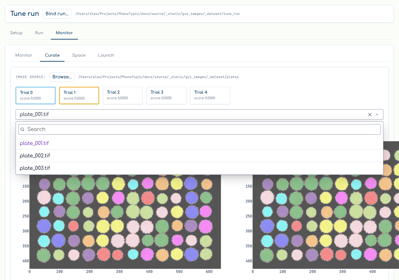 Tune Curate: shortlist + A/B colony overlays on a plate.