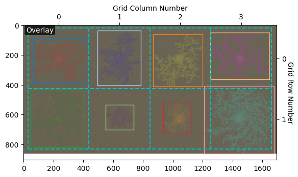 ../../_images/tutorials_notebooks_10_detecting_filamentous_fungi_15_1.png