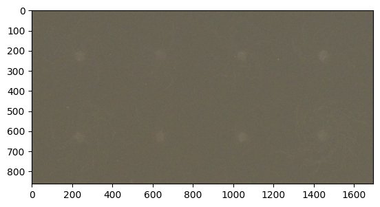 ../../_images/tutorials_notebooks_10_detecting_filamentous_fungi_2_1.png
